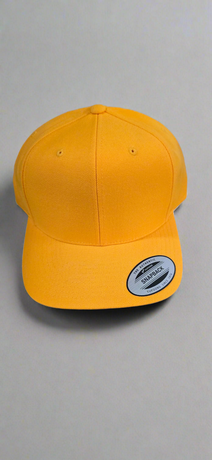 Snap back Hat/ cap