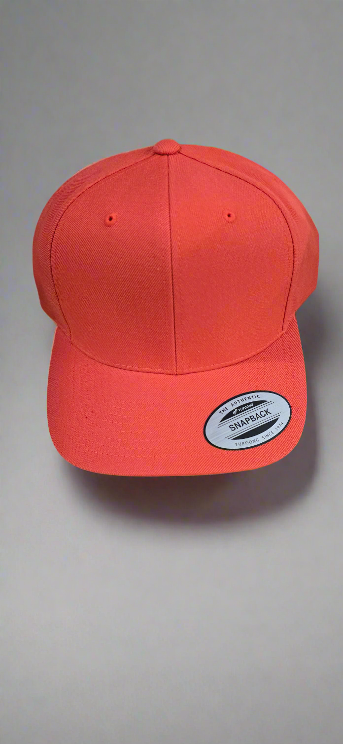 Snap back Hat/ cap