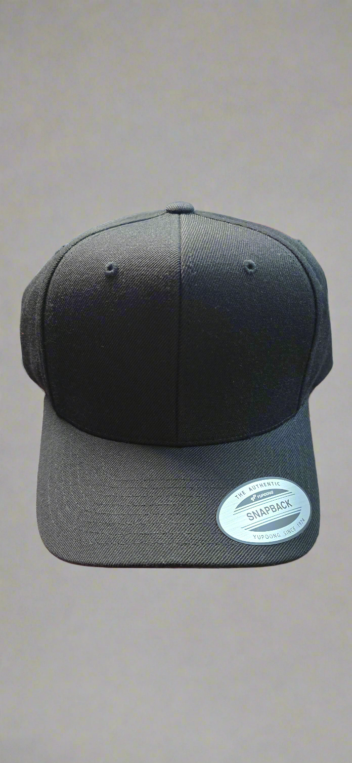 Snap back Hat/ cap