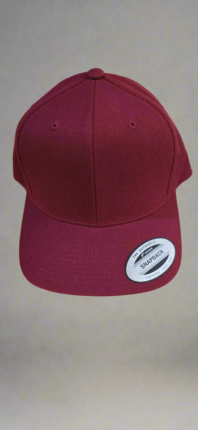 Snap back Hat/ cap