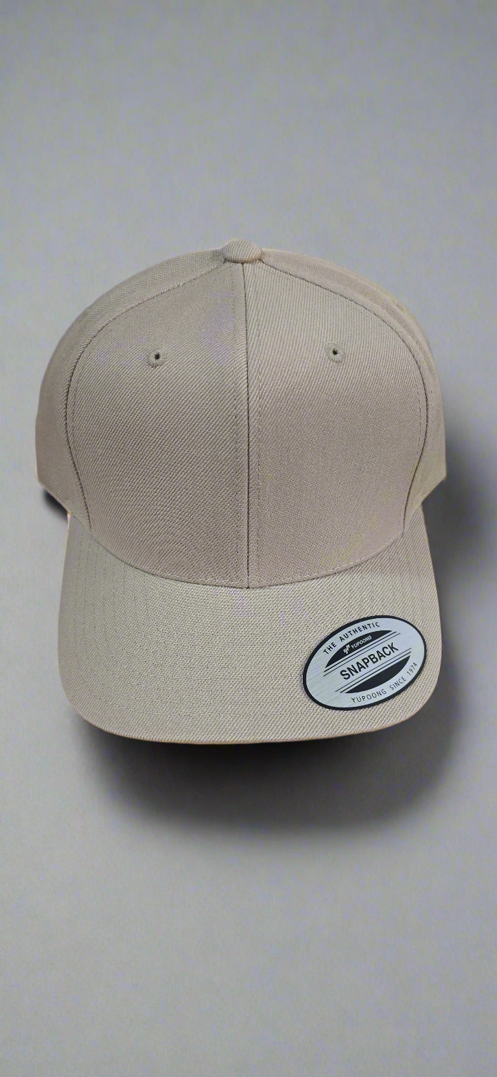 Snap back Hat/ cap