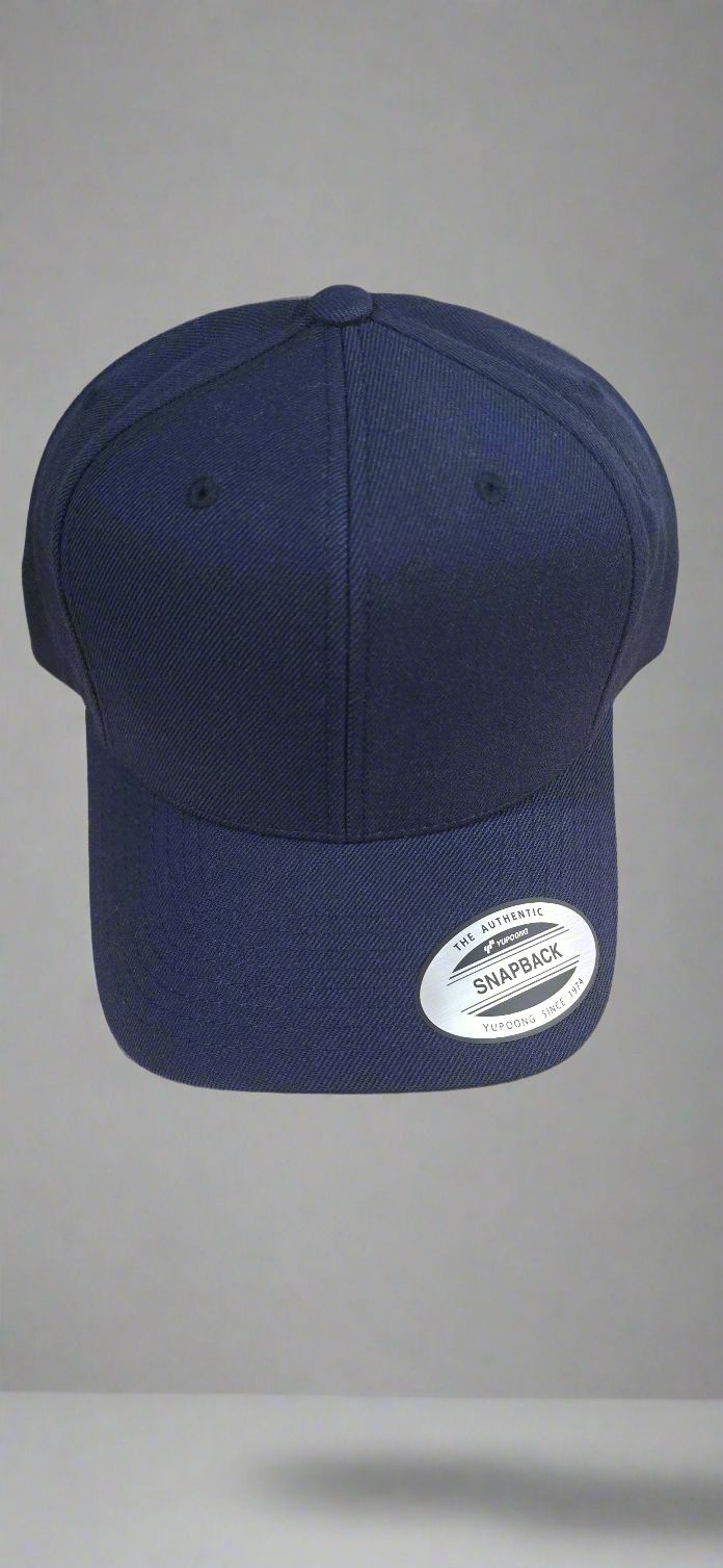 Snap back Hat/ cap