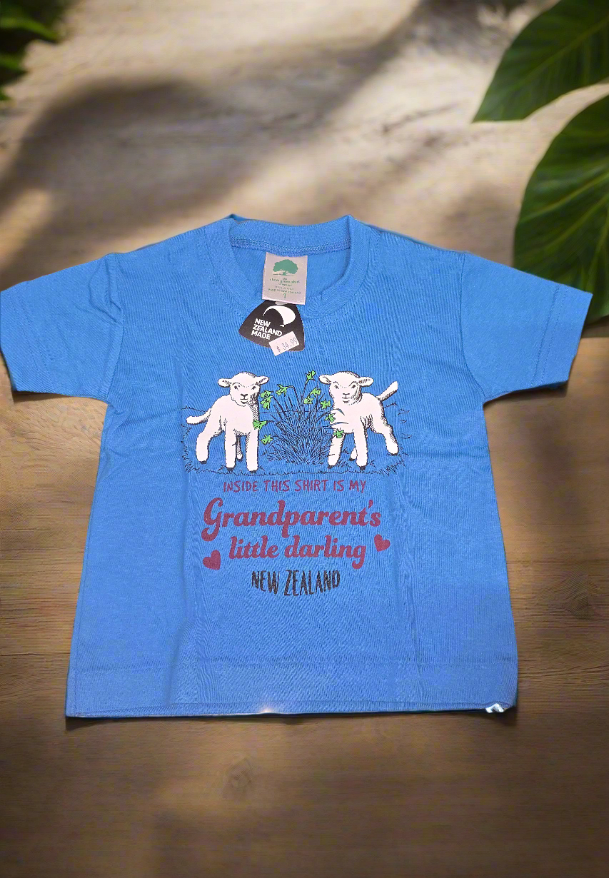 T-shirts grandparents little darling