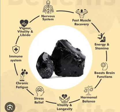 Shilajit capsules